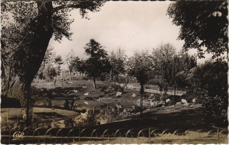 Carte postale ancienne Vichy Les Parcs et le nouveau Bascin des Cygnes France à Vichy