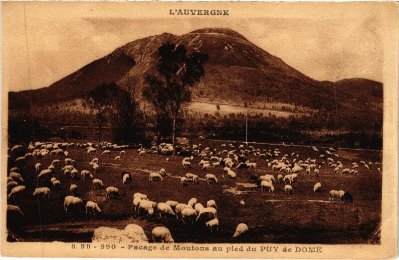 Carte postale ancienne Pacage de Moutons au Pied du Puy de Dome