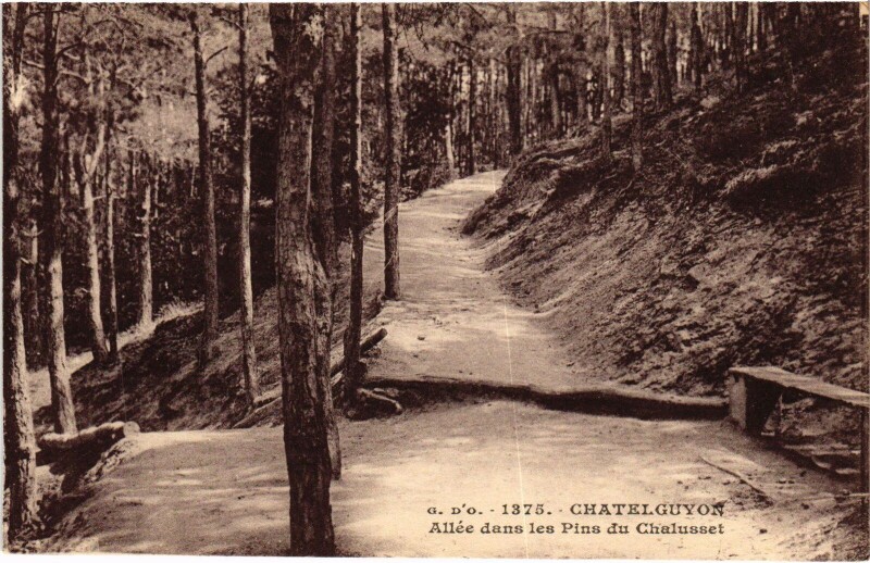 Carte postale ancienne Chatel-Guyon Allee dans les Pins du Chalusset à Chalus