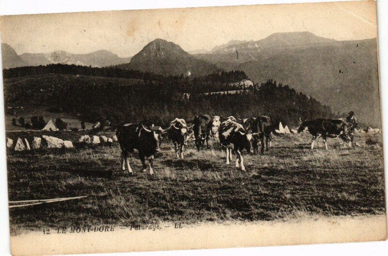 Carte postale ancienne Le Mont-Dore - Paturage à Mont-Dore
