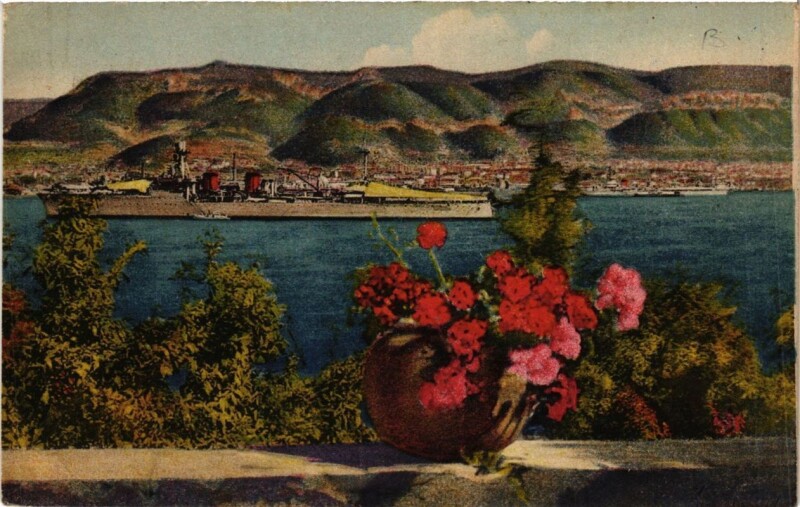 Carte postale ancienne Toulon Vue panoramique du bois sacré à Toulon