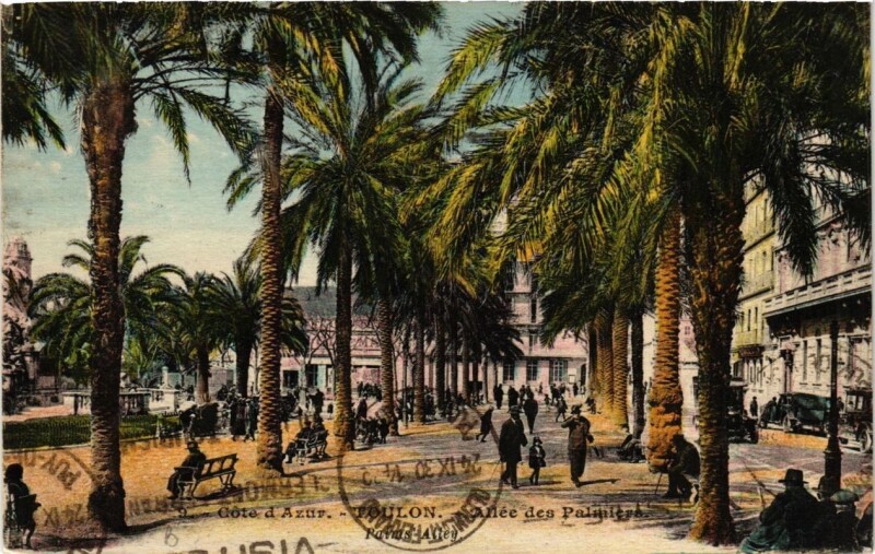 Carte postale ancienne Toulon Allée des Palmiers à Toulon