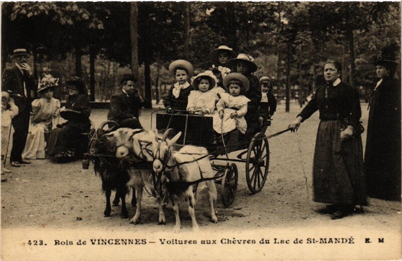 Carte postale ancienne Vincennes Bois de Vincennes. Voitures aux Chevres du Lac Saint-Mande.