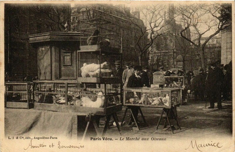 Carte postale ancienne Le Marché aux Oiseaux à Paris 4e