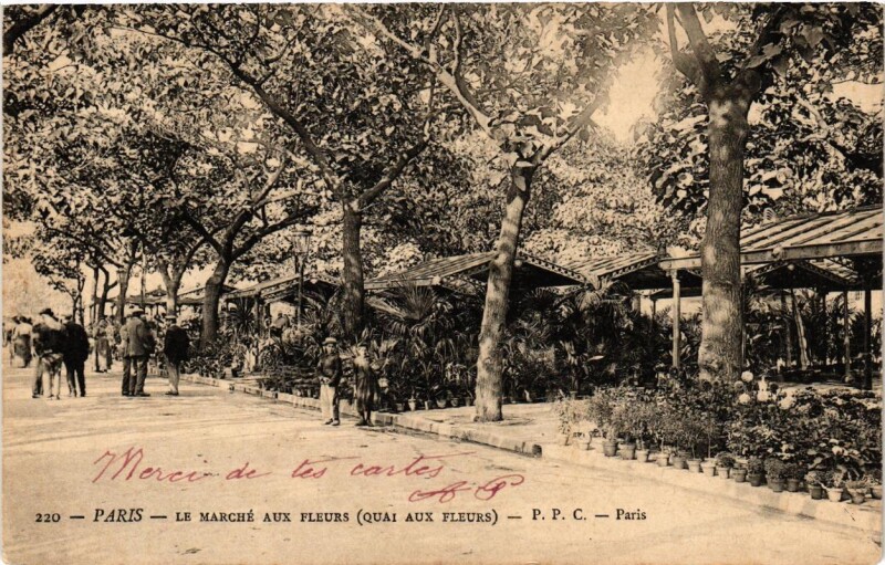 Carte postale ancienne Paris (4e) Les Marche aux Fleurs. Quai aux Fleurs. à Paris 4e