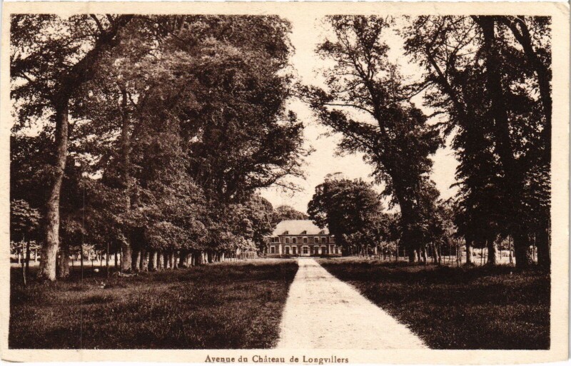 Carte postale ancienne Longvillers Avenue du Chateau de Longvillers à Longvillers
