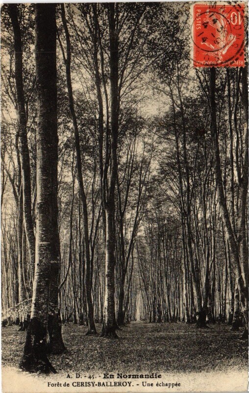 Carte postale ancienne Foret de Cerisy-Balleroy - Une Echappee