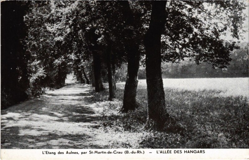 Carte postale ancienne Saint-Martin-de-Crau L'Etang des Aulnes - L'Allee des Hangars à Saint-Martin-de-Crau