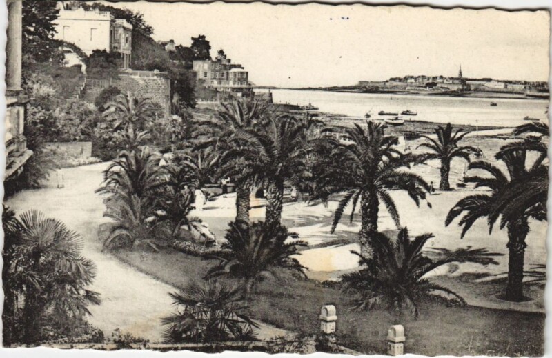 Carte postale ancienne Dinard Palmeraie au fond: Saint-Malo à Dinard