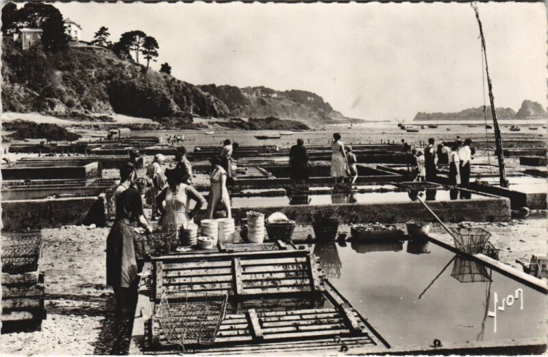Carte postale ancienne Cancale Parc a huitres à Cancale