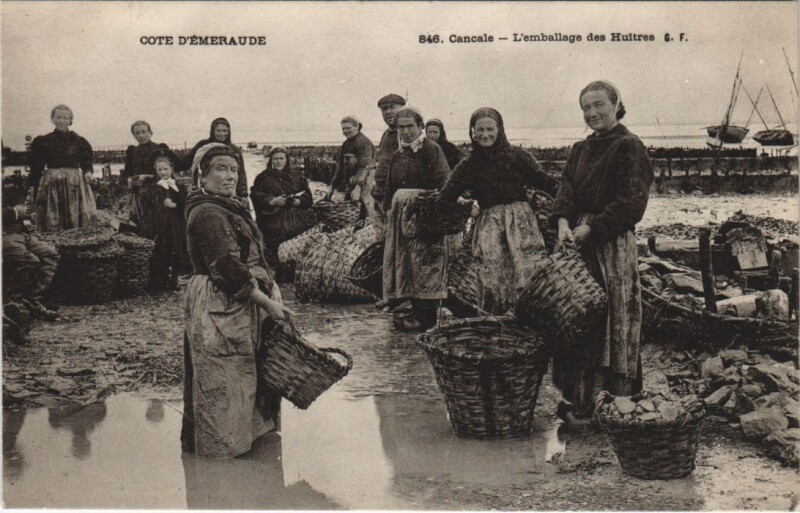 Carte postale ancienne Cancale - L'Emballage des Huitres à Cancale