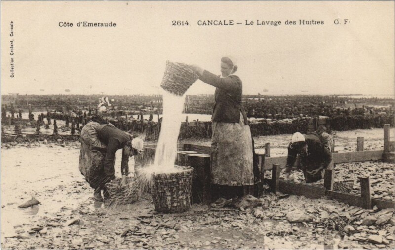 Carte postale ancienne Cancale Le Lavage des Huitres à Cancale