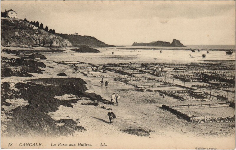 Carte postale ancienne Cancale Les Parcs aux Huitres à Cancale