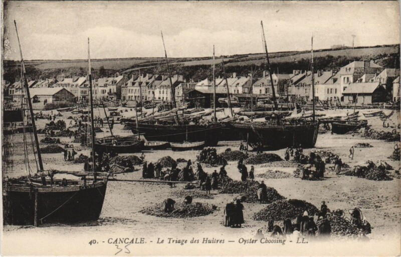 Carte postale ancienne Cancale Triage des Huitres à Cancale