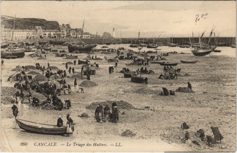 Carte postale ancienne Cancale Triage des Huitres à Cancale