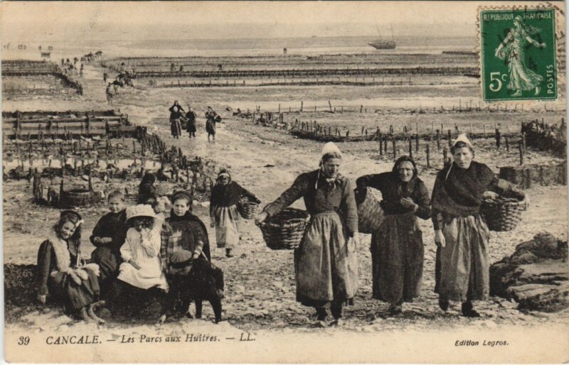 Carte postale ancienne Cancale Les Parcs aux Huitres à Cancale