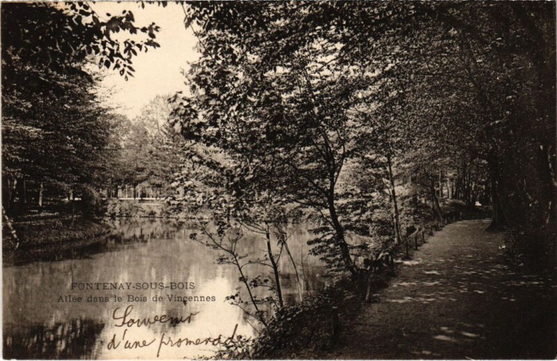 Carte postale ancienne Fontenay sous Bois Allee dans le Bois de Vincennes France à Fontenay-sous-Bois