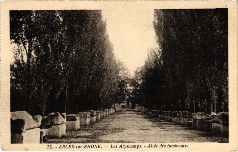 Carte postale ancienne Arles Les Alyscamps - Allee des Tombeaux à Arles