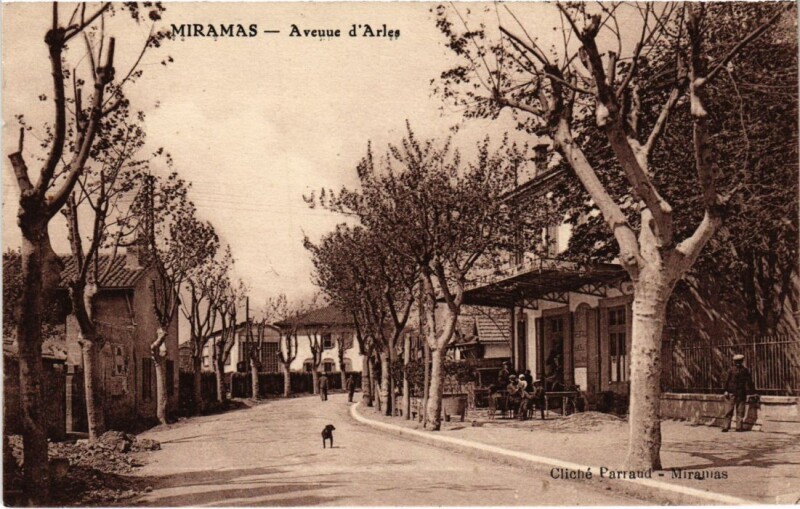 Carte postale ancienne Miramas Avenue d'Arles à Arles