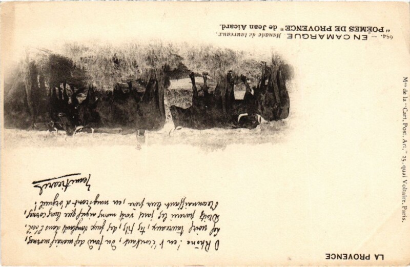 Carte postale ancienne En Camargue - Manade de Taureaux