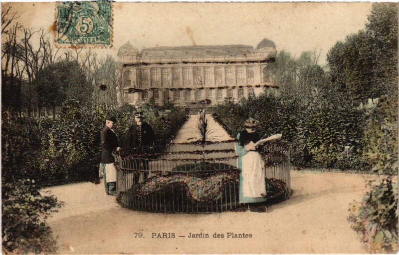 Carte postale ancienne Paris 5e Jardin des Plantes à Paris 5e
