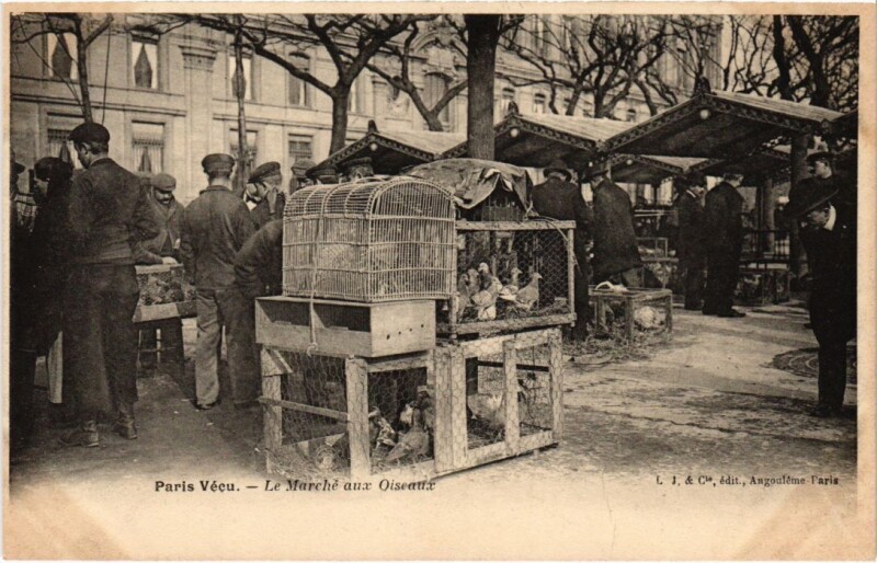 Carte postale ancienne Paris Vecu. Marche aux Oiseaux