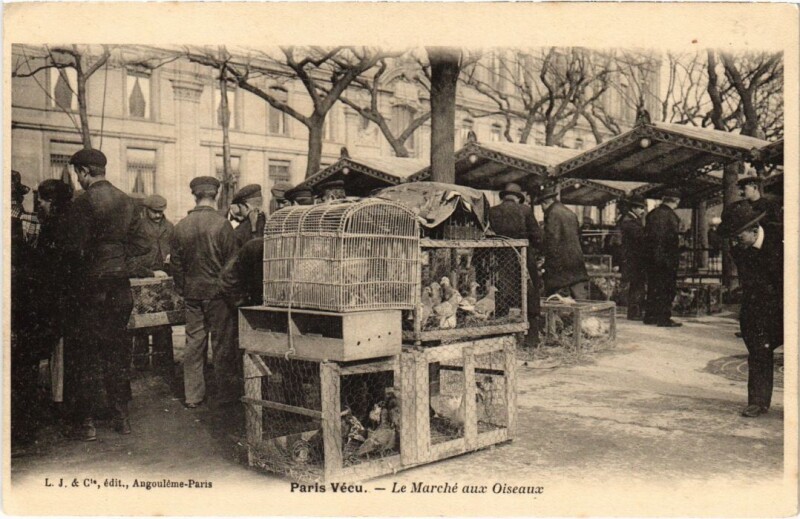 Carte postale ancienne Paris Vecu. Le Marche aux Oiseaux