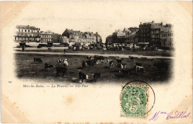 Carte postale ancienne Mers-les-Bains La Prairie à Mers-les-Bains