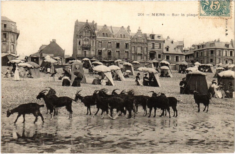 Carte postale ancienne Mers-les-Bains Sur la Plage à Mers-les-Bains