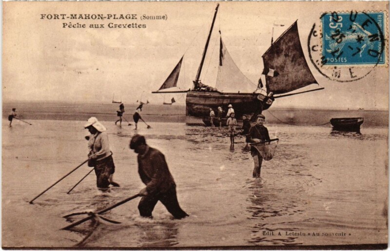 Carte postale ancienne Fort-Mahon-Plage Peche aux Crevettes à Fort-Mahon-Plage