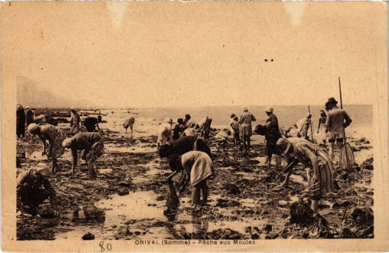 Carte postale ancienne Onival Peche aux Moules