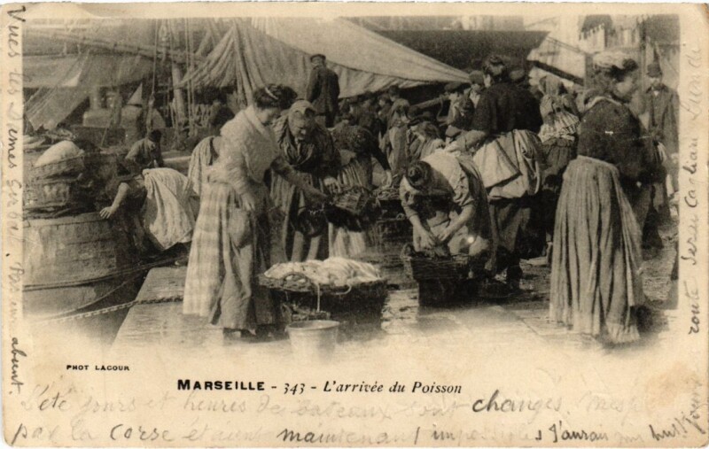 Carte postale ancienne Marseille L'Arrivee du Poisson à Marseille