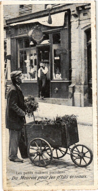 Carte postale ancienne Paris Petits Metiers Du Mouron pour les p'tits oiseaux