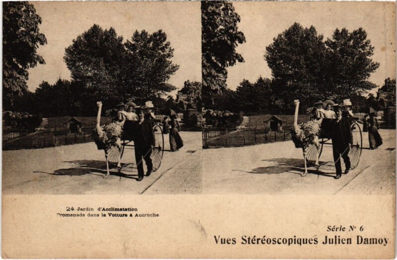 Carte postale ancienne Jardin d'Acclimatation - Promenade dans la Voiture à Autruche à Neuilly-sur-Seine