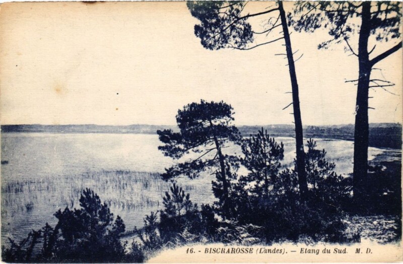 Carte postale ancienne Biscarrosse Etang du Sud à Biscarrosse