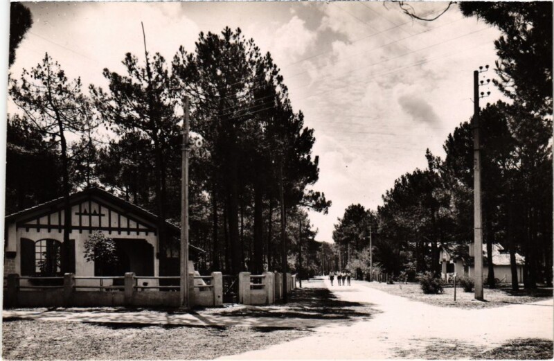 Carte postale ancienne Biscarrosse Avenue Pierre Martin à Biscarrosse