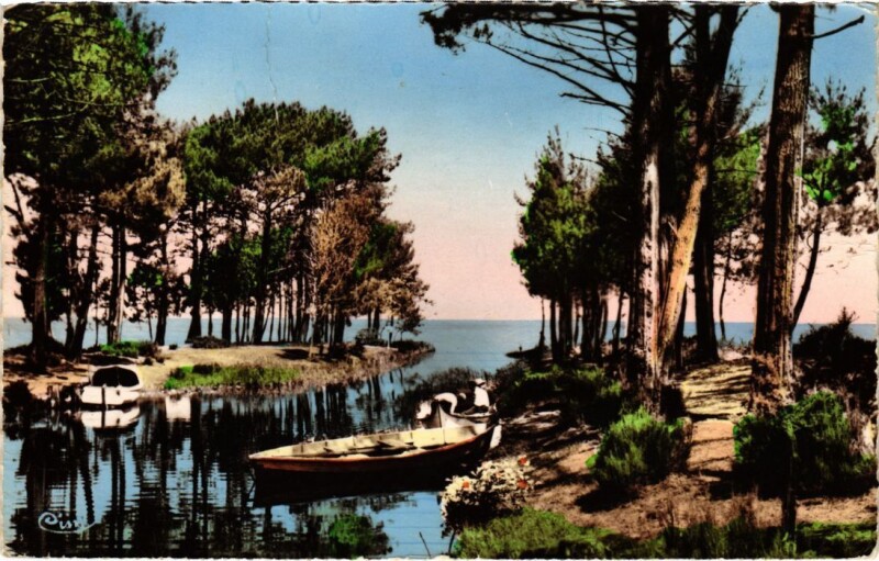 Carte postale ancienne Biscarrosse Joli coin a Navarosse à Biscarrosse