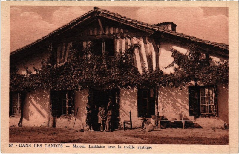Carte postale ancienne Dans les Landes Maison Landaise France