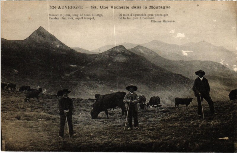 Carte postale ancienne Auvergne Un Vacherie dans la Montagne France