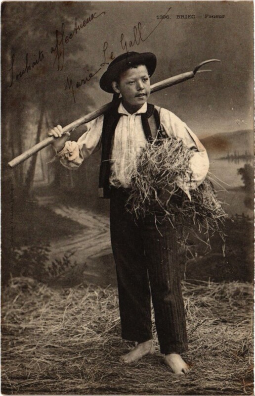 Carte postale ancienne Briec Faneur - Type