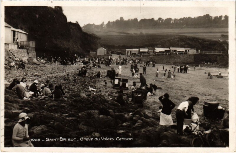 Carte postale ancienne Saint-Brieuc Greve du Valais-Cesson à Saint-Brieuc