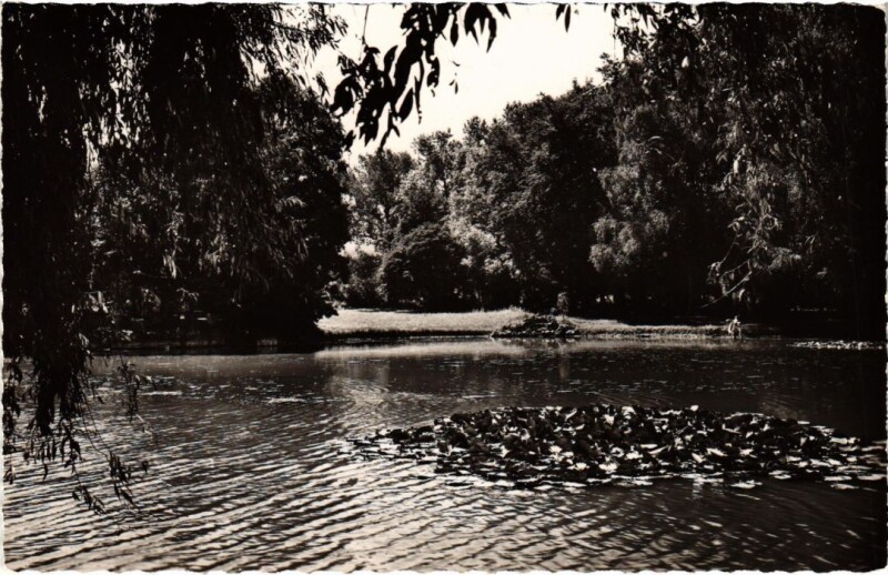 Carte postale ancienne Lons le Saunier Le Lac à Lons-le-Saunier