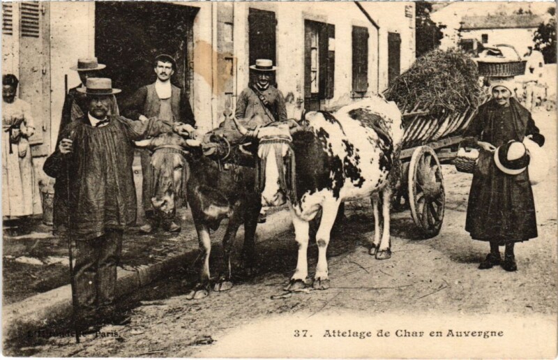 Carte postale ancienne Folklore Attelage de Char en Auvergne