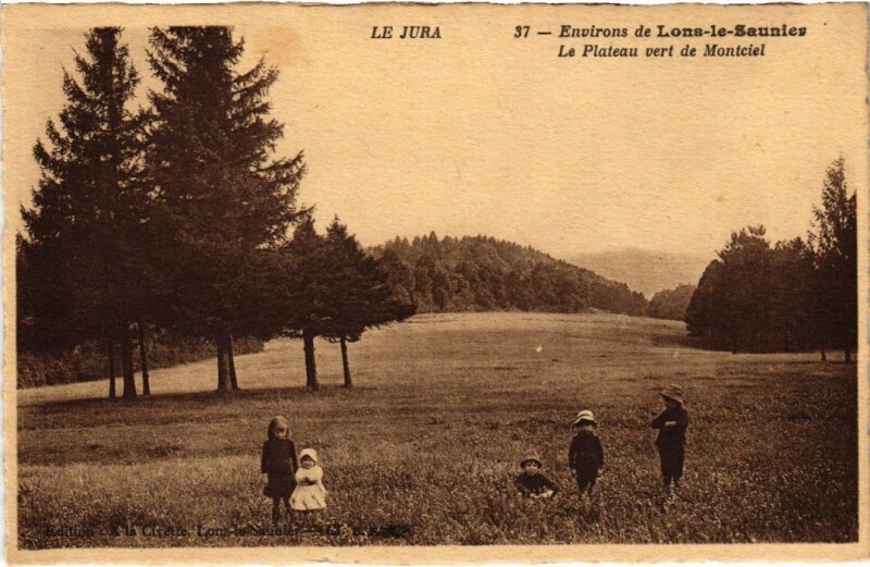 Carte postale ancienne Le Plateau vert de Montciel