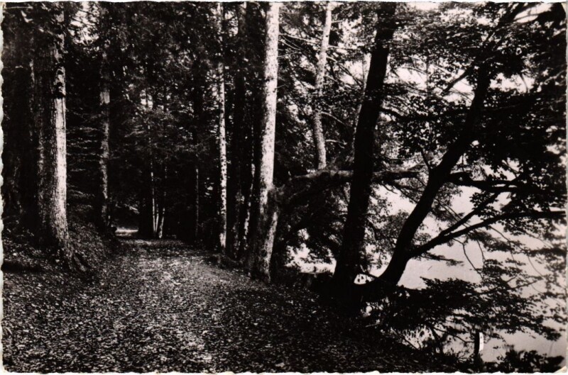 Carte postale ancienne Lac de Bonlieu à Bonlieu