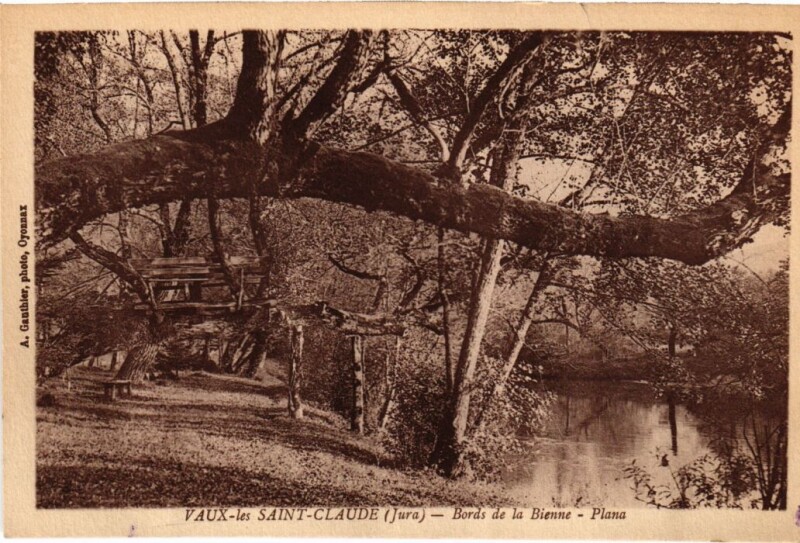 Carte postale ancienne Vaux les Saint-Claude Bords de la Bienne à Saint-Claude