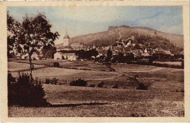 Carte postale ancienne Orgelet vue generale à Orgelet