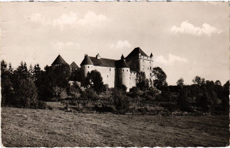 Carte postale ancienne Le Chateau du Pin