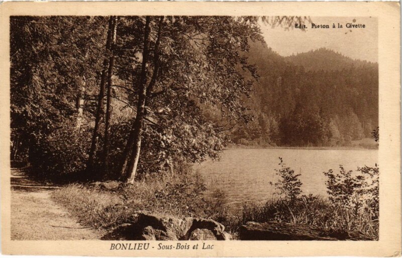 Carte postale ancienne Bonlieu Sous Bois et Lac à Bonlieu