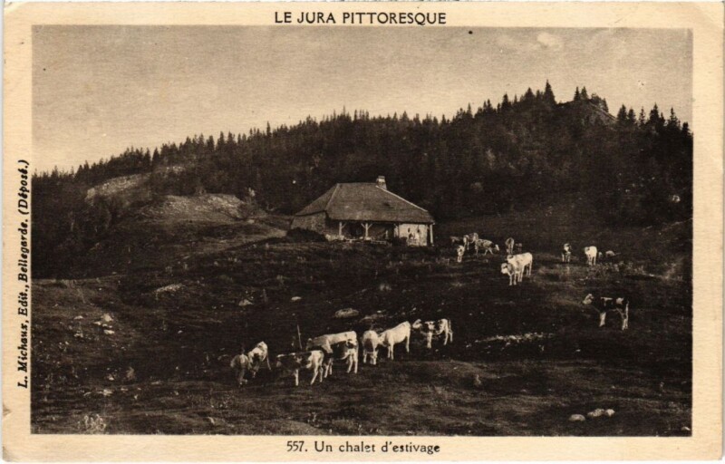 Carte postale ancienne Un chalet d'estivage